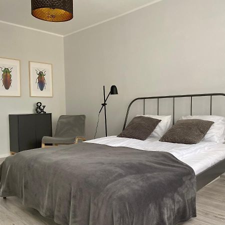 Apartament Kilinskiego 9 Świdnica 外观 照片