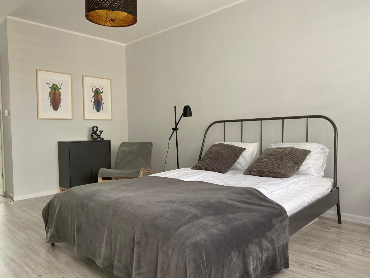 Apartament Kilinskiego 9 Świdnica 外观 照片