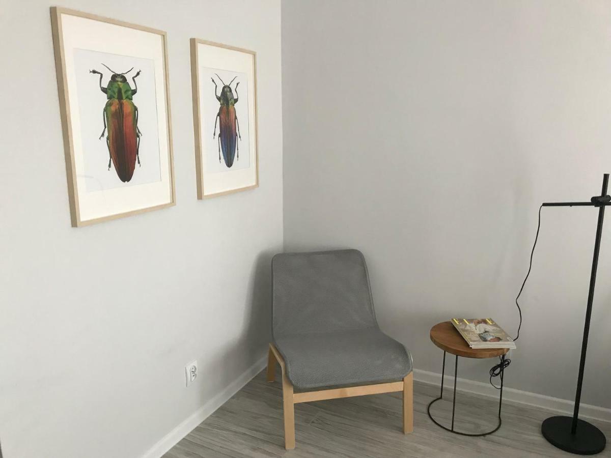 Apartament Kilinskiego 9 Świdnica 外观 照片